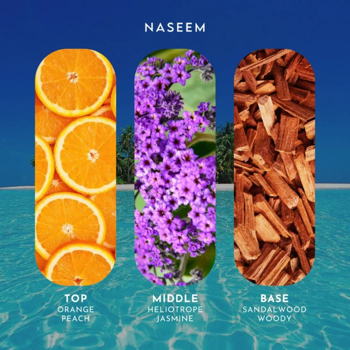 Saifkart Naseem Twin Paradise Notes